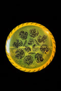 Discraft Glo Buzzzsaw